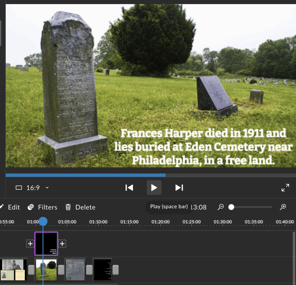 WeVideo screenshot with a captioned image