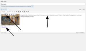 Examples