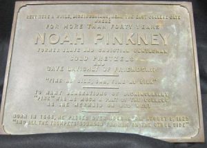 Pinkney plaque